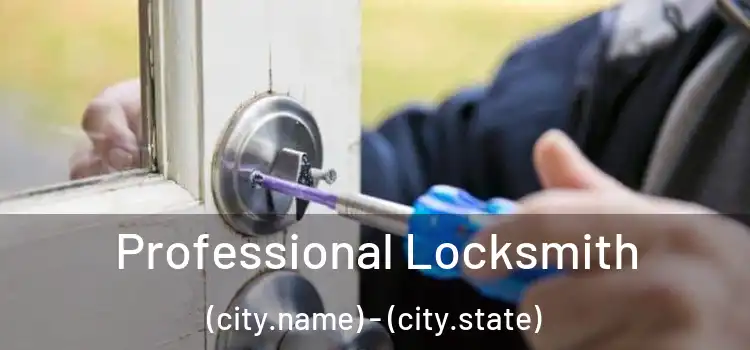  Professional Locksmith (city.name) - (city.state)